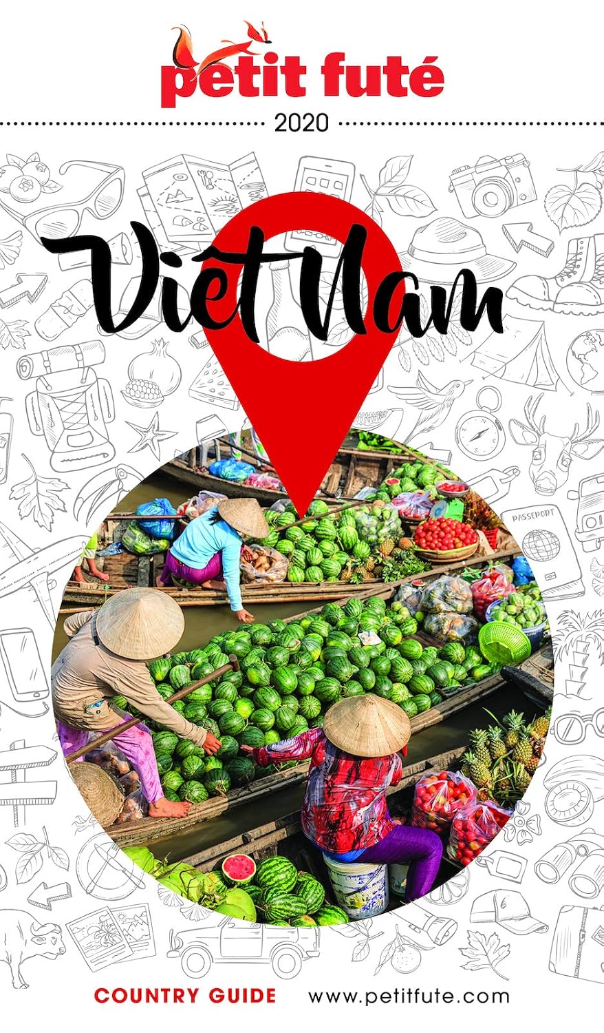VIETNAM 2020 Petit Futé (French Edition)