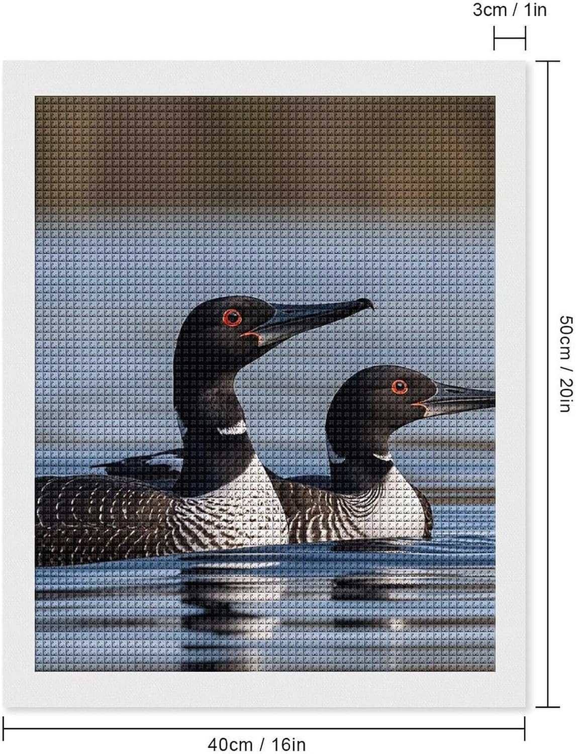 LHDGSJE Loon Birds Diamond Painting 16"x20" DIY Diamonds Art Kits for Adults Full Drill Diamond Dots Paintings Crystal Rhinestone Picture Arts Craft for Home Wall Decor