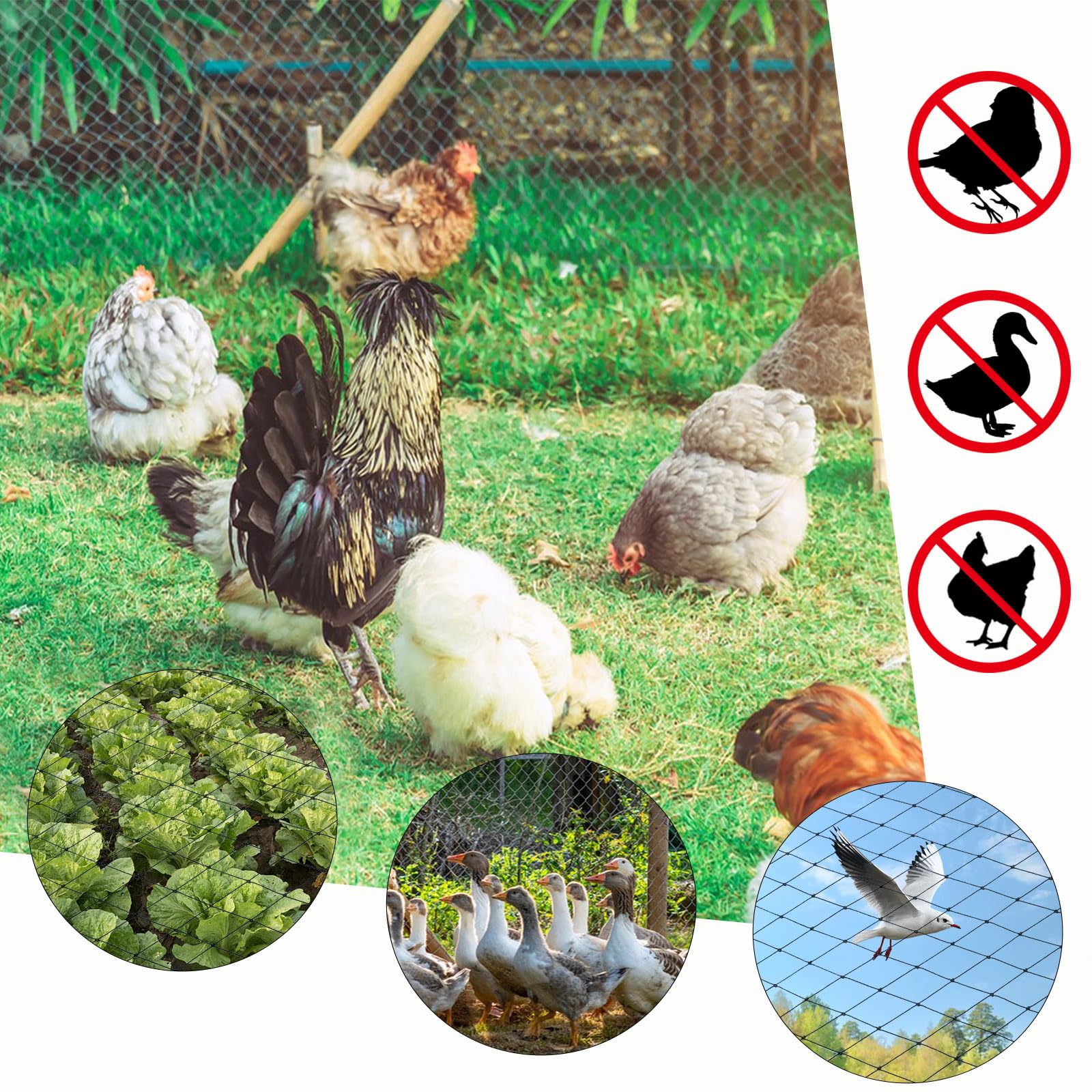 10m x 10 m Malla Antipajaros Negra, Red antipajaros Resistente, Malla para Jardin,Multiusos Red de Protección para Pájaro de Protección de Huerto, Verduras, Gallinero, Malla de 5 cm