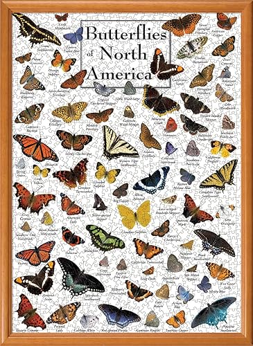 Miniatura 4 de MasterPieces Rompecabezas de 1000 piezas para adultos, familia o niños, mariposas de América del Norte, 19.25 x 26.75 pulgadas