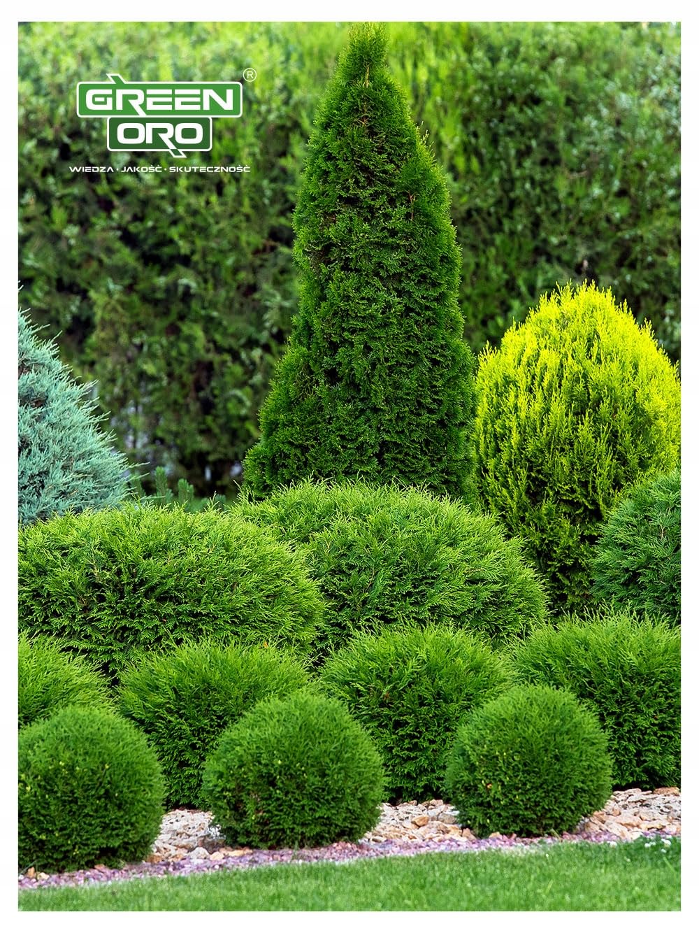 CHISSO MAGNESIUM 24KG Fertilizzante al magnesio contro l'ingiallimento per conifere come thuja e tasso