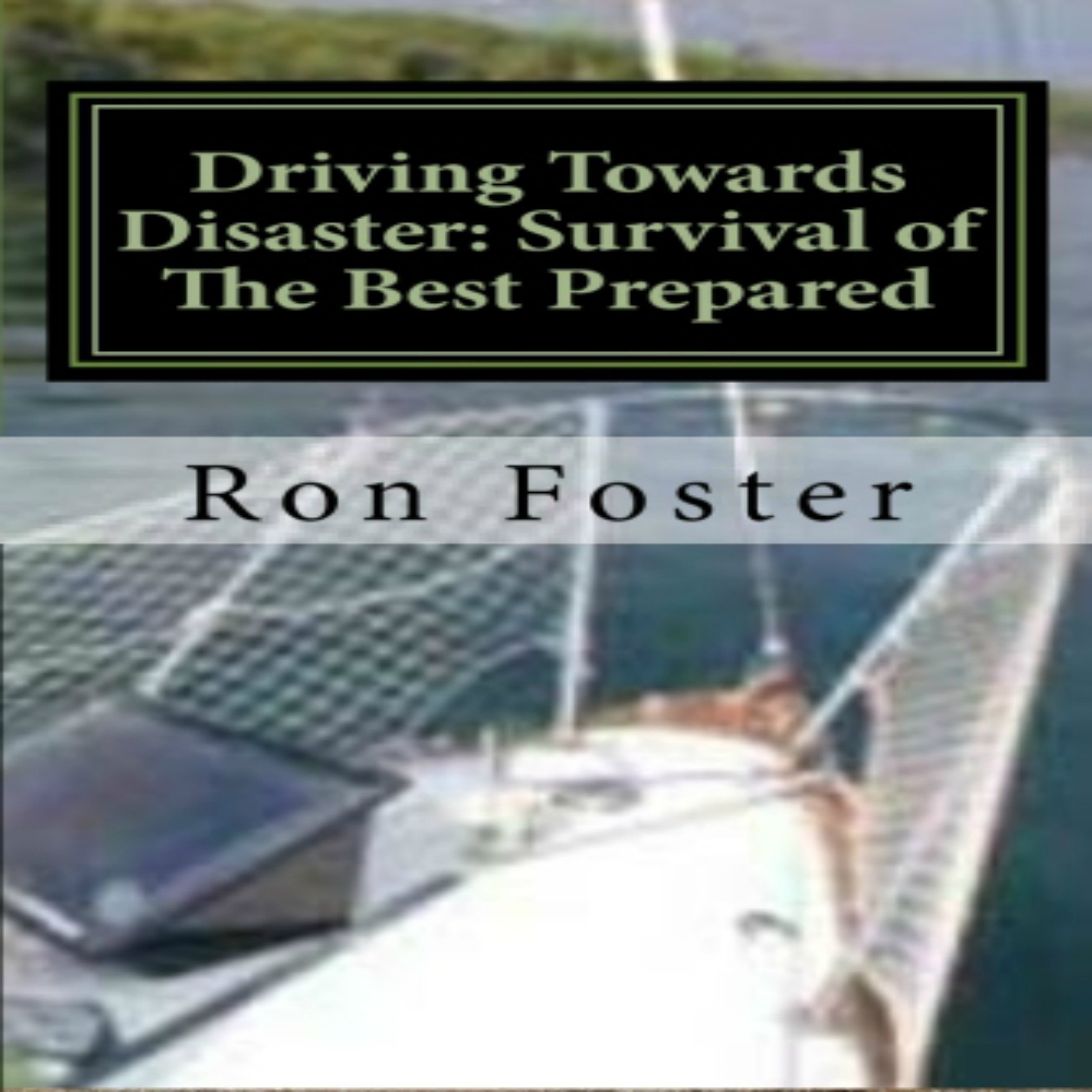 Cover art for Driving Towards Disaster: Survival of the Best Prepared