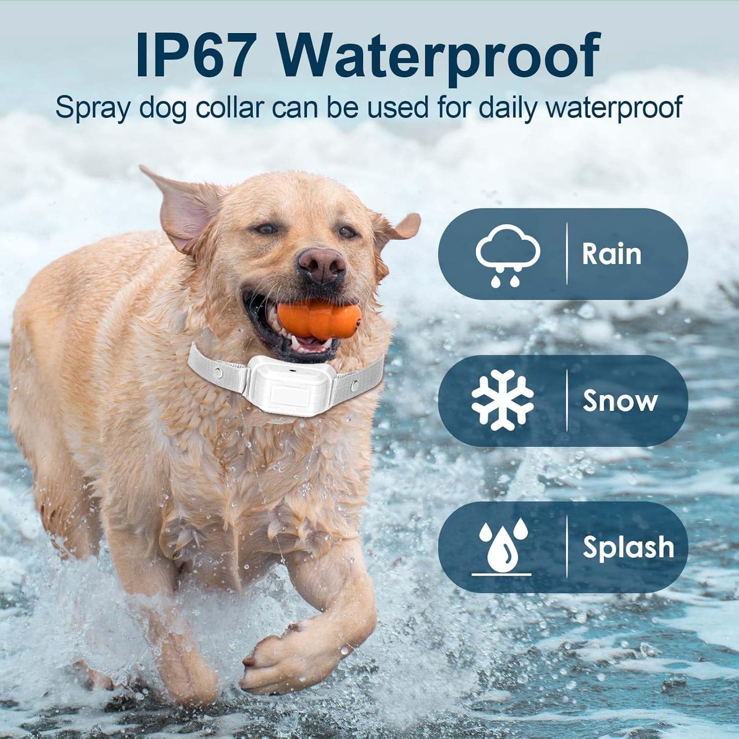 Citronella Bark Collar 2 Pack [No Citronella Refill] Citronella Dog Bark Collar Level 3 Sensitivity Adjustable Anti Barking Control Collar, Safer Spray Dog Bark Collar for L/M/S Dogs Grey