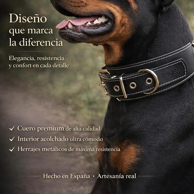 Foto 4 de 8 de Collar para Perros Premium Extra Ancho 5,5 y 7 cm - Cuero Triple Anillo D Soldado - Acolchado Interior