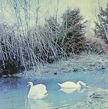 洋楽 Affinity Amazon.co.jp: Affinity: ミュージック