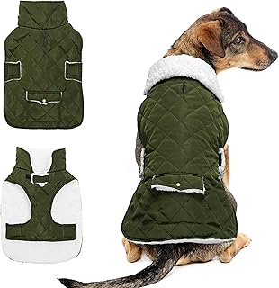 ORZECHKO Dog Winter Coat - Windproof Fleece Warm Thick Dog Jacket Clothes for Snow Rainy Cold Weather - Green Dog Vest Coat Outfits for Small Medium Large Dogs - Indoor & Outdoor Use (S-XXL)