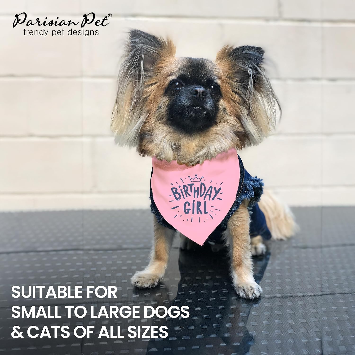 Parisian Pet Birthday Girl Dog Bandanas - Adjustable Pink Puppy Bandana - Girl Dog Accessories - Breathable and Stylish Dogs Kerchief - Triangle Pet Scarves -Large Dogs Bandana - Bib for Pets image 5