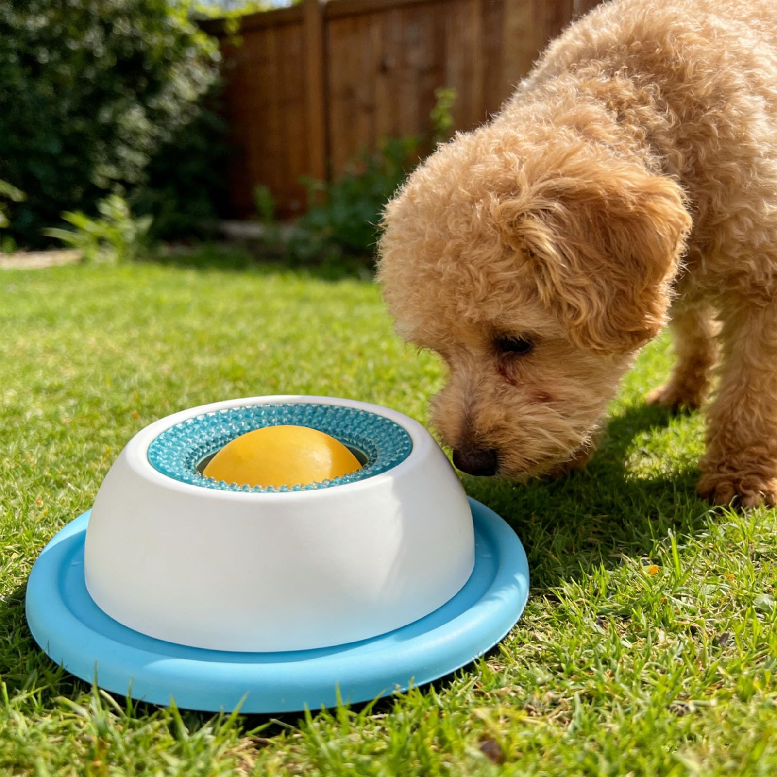 Licking Mat for Dogs, Dog Enrichment Toy - Non-Slip Bottom, Pet Accessories for Training Healthy Eating, Dog Licking Plate Toy - Stimulates Mental Activity and Promotes Natural (A Blue)