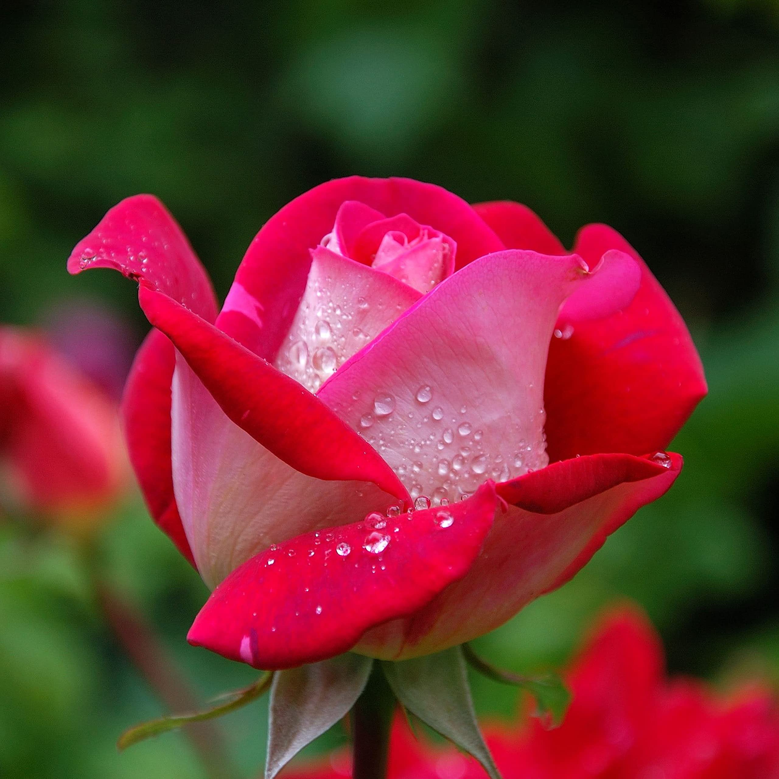 View 9