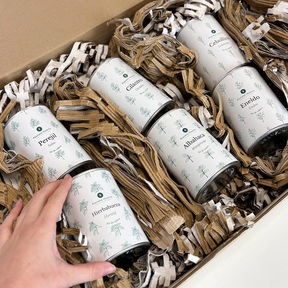 PLANETA HUERTO | Pack Cofre Kits de Cultivo Aromáticas Planeta Huerto – Set Completo para Cultivar Hierbas Frescas en Casa