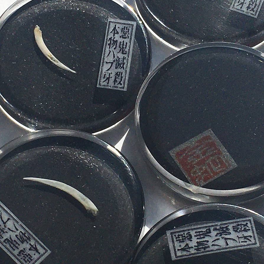 はち✨白魔術‼️風の守護と魔除け頭を護り 頭から開運を吸収 はち様専用✨白魔術‼️風の守護と魔除け頭を護り