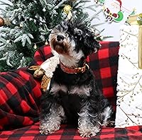 Vista 39 de Unique Style Paws - Collar rosa con hebilla de metal, duradero y lindo para perros pequeños a grandes