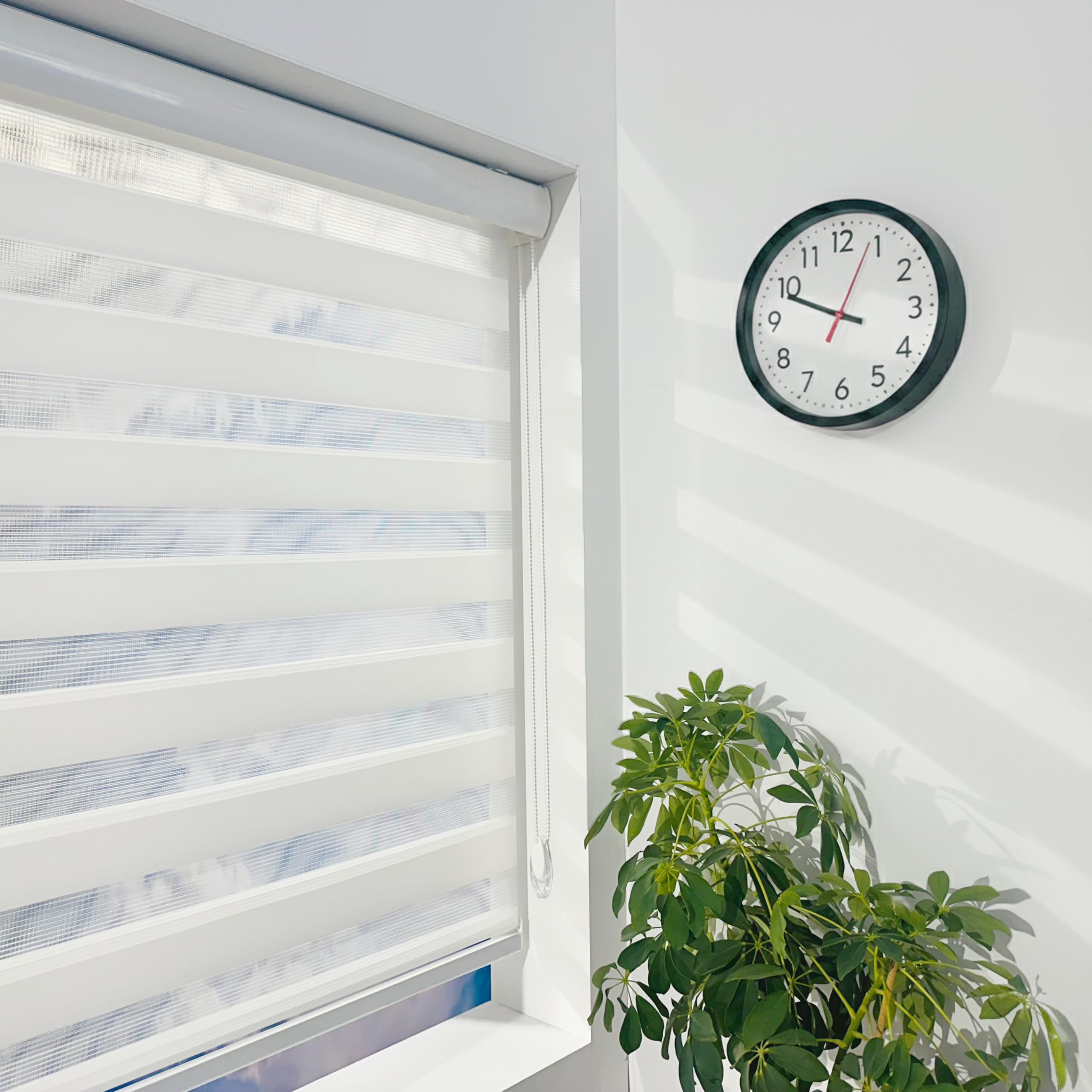 ShadesU Zebra Blinds for Indoor Window Roller, Zebra Shades for Windows Privacy Light Filtering Shades (Maxium Height 72inch) (White Color)(Width 72