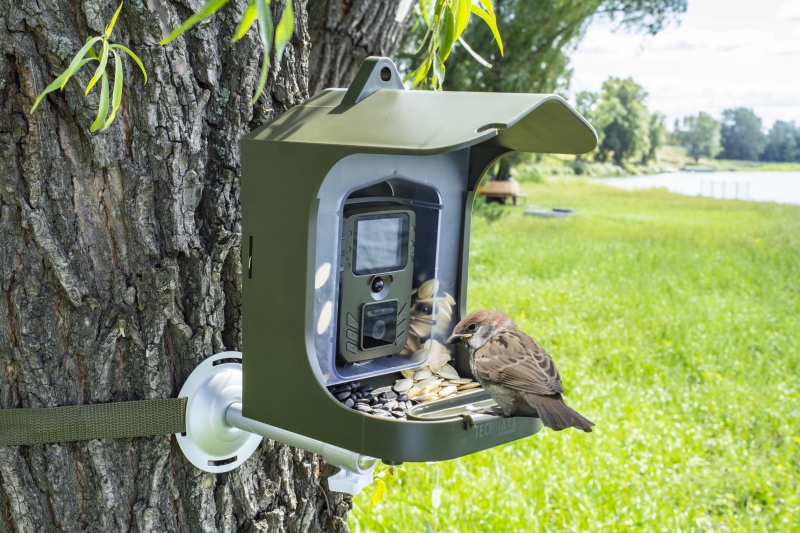BBPECO Mangiatoia Intelligente Per Uccelli Con Fotocamera – In Bambù, Anti Scoiattolo - 2