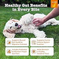 Vista 2 de Zesty Paws Probióticos para perros, enzimas digestivas flora intestinal, salud digestiva, diarrea y apoyo intestinal, DE111, probióticos para perros