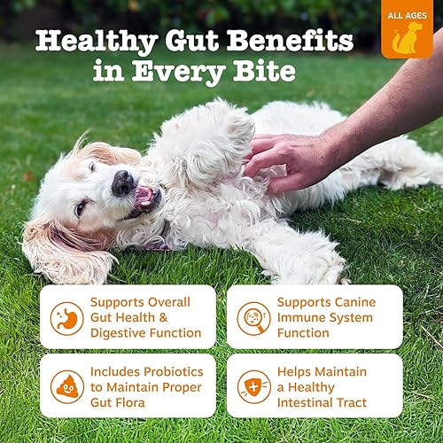 Miniatura 2 de Zesty Paws Probióticos para perros, enzimas digestivas flora intestinal, salud digestiva, diarrea y apoyo intestinal, DE111, probióticos para perros