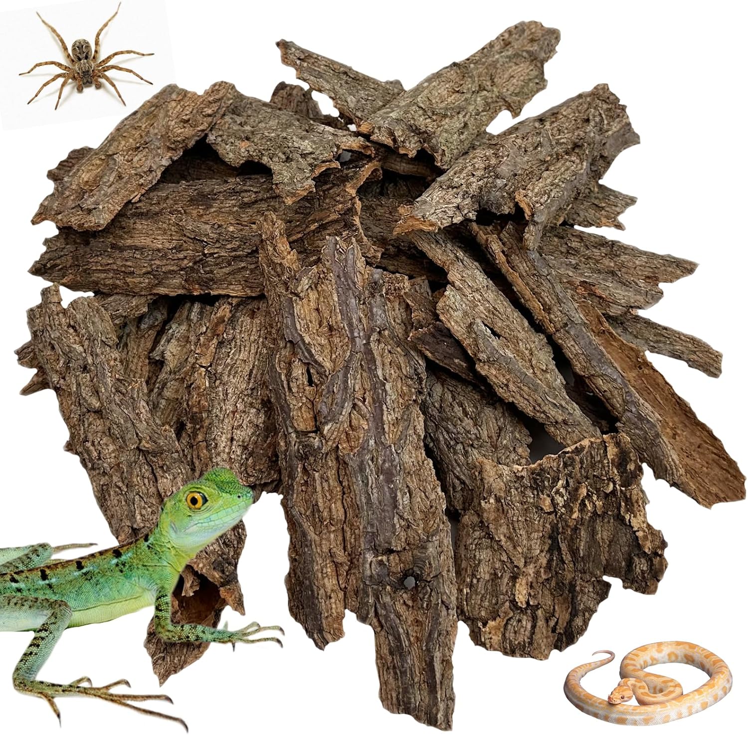 Reptile Cork Bark Bulk 2 Lb Cork Wood for Terrarium, Natural Flat Cork Bedding Terrarium Substrate for Bearded Dragon Snake Spiders Hermit Crabs Geckos Tortoise