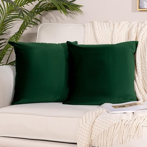 Stellhome Paquete de 2 fundas de almohada de terciopelo decorativas cuadradas para cama, sofá y banco, 24 x 24 pulgadas, verde oscuro