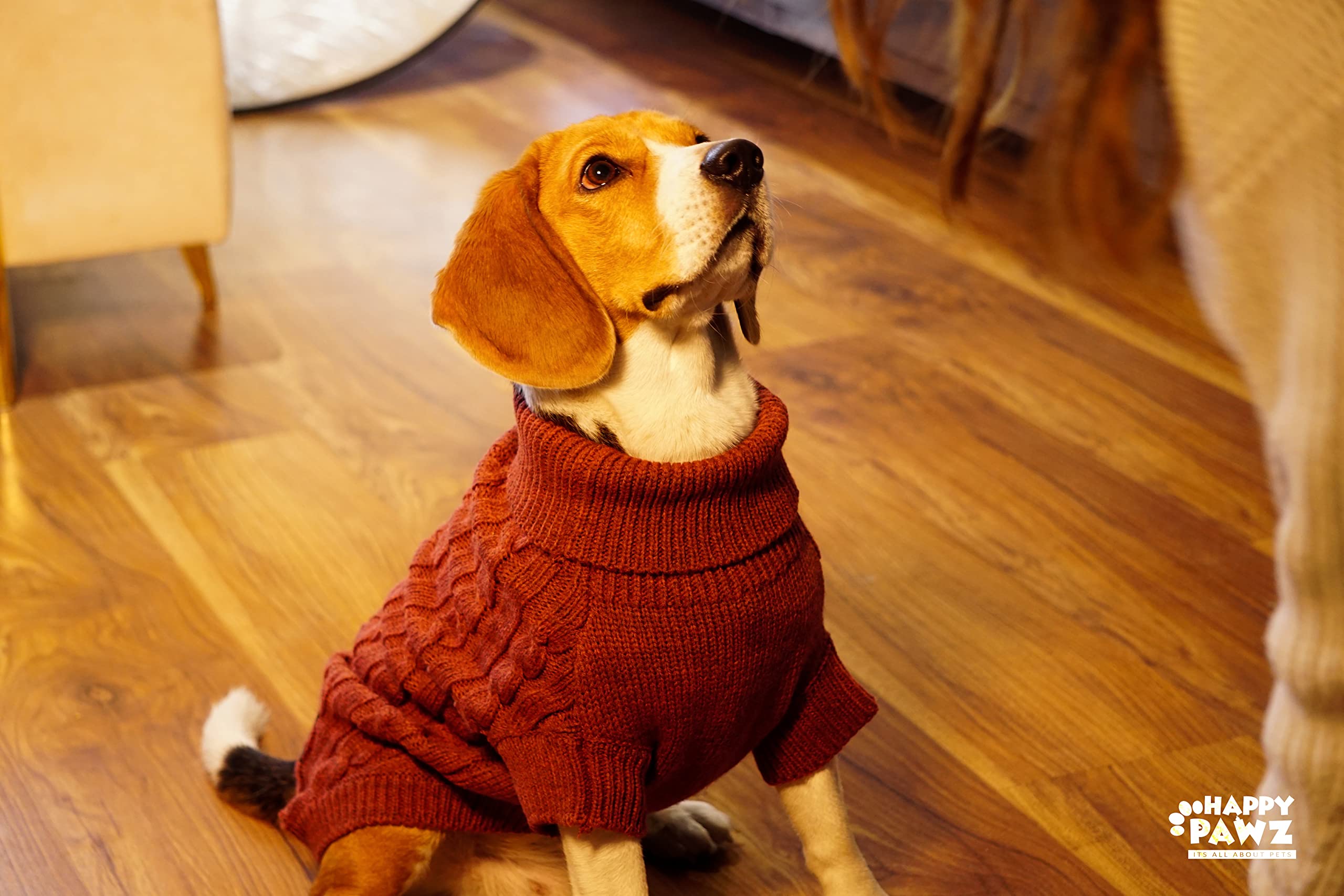 Happy Pawz Classy, Cosy, Soft, Warm & Comfortable Chestnut Classic Cable Knit Dog Winter Sweater | Sweater for Dogs (X-Large)