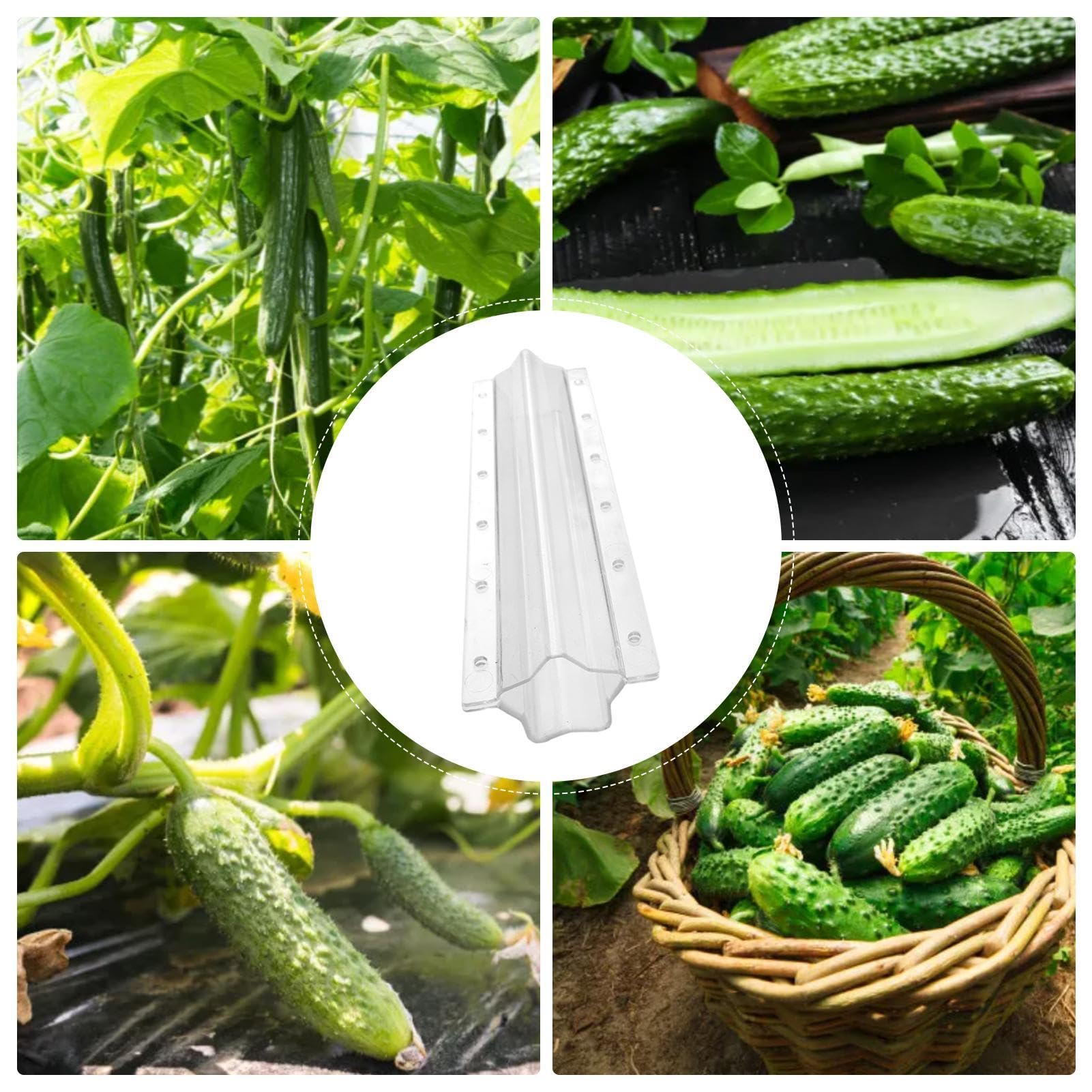 FUNOMOCYA Fruit 2 Pièces Moule De Croissance En Forme Façonneur De Culture De Moules à Concombre En Forme De Coeur Moule De Stéréotypes De Culture Ière Plante Plastique Citrouille