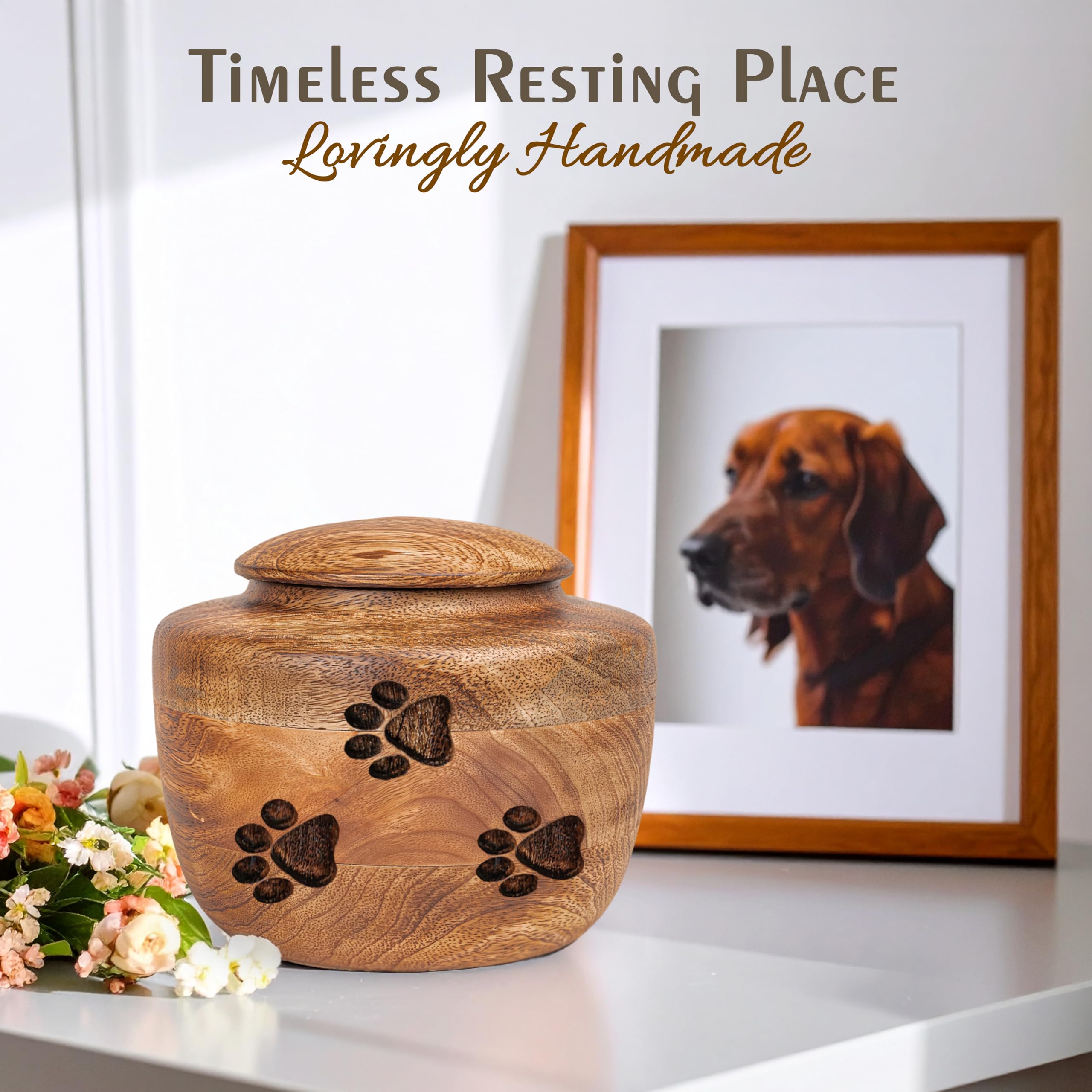 View 4