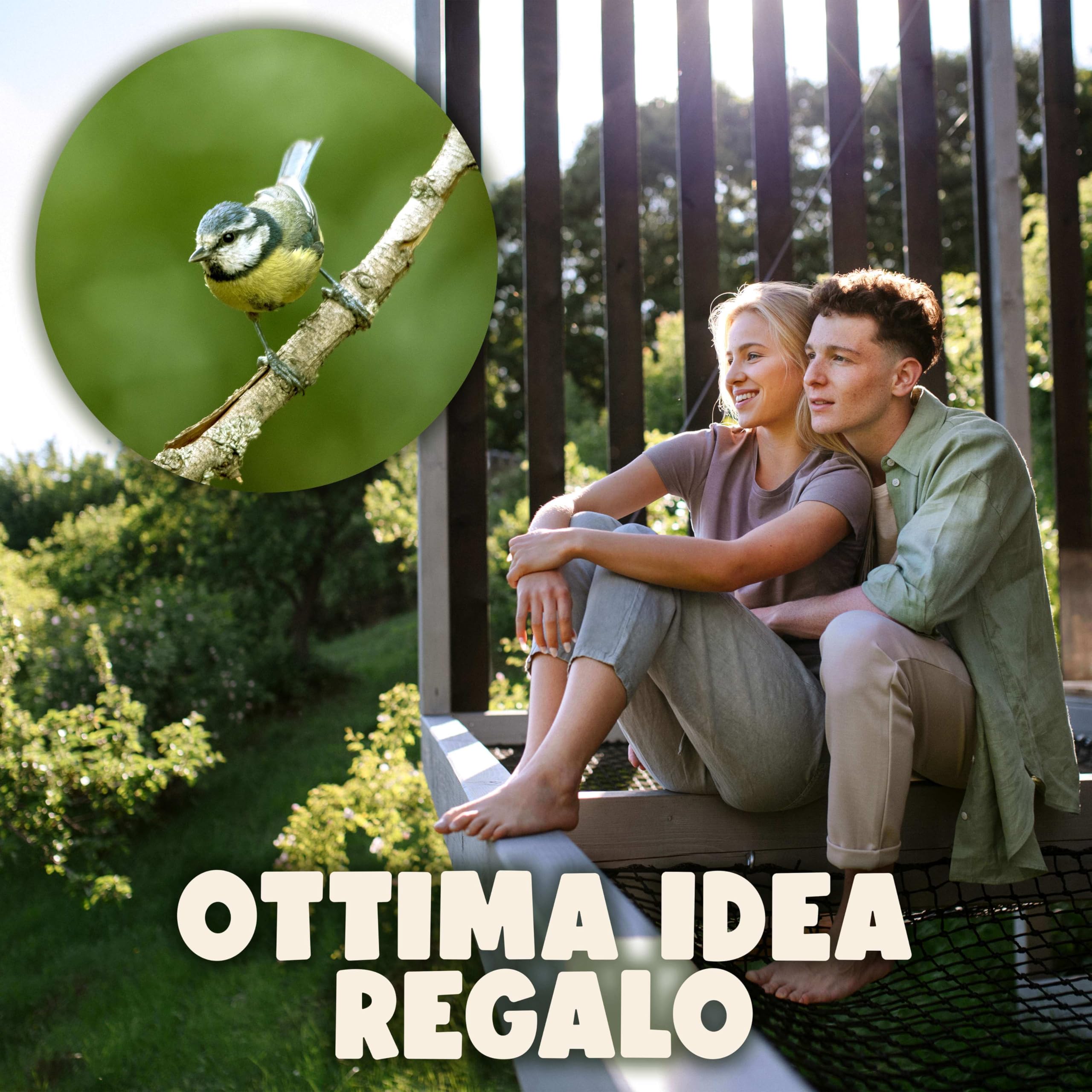 SWISSINNO Mangiatoia per Uccellini da Esterno Davos SMART BIRDS Casetta Cibo Uccelli Selvatici 2 Scomparti Antispreco Verde