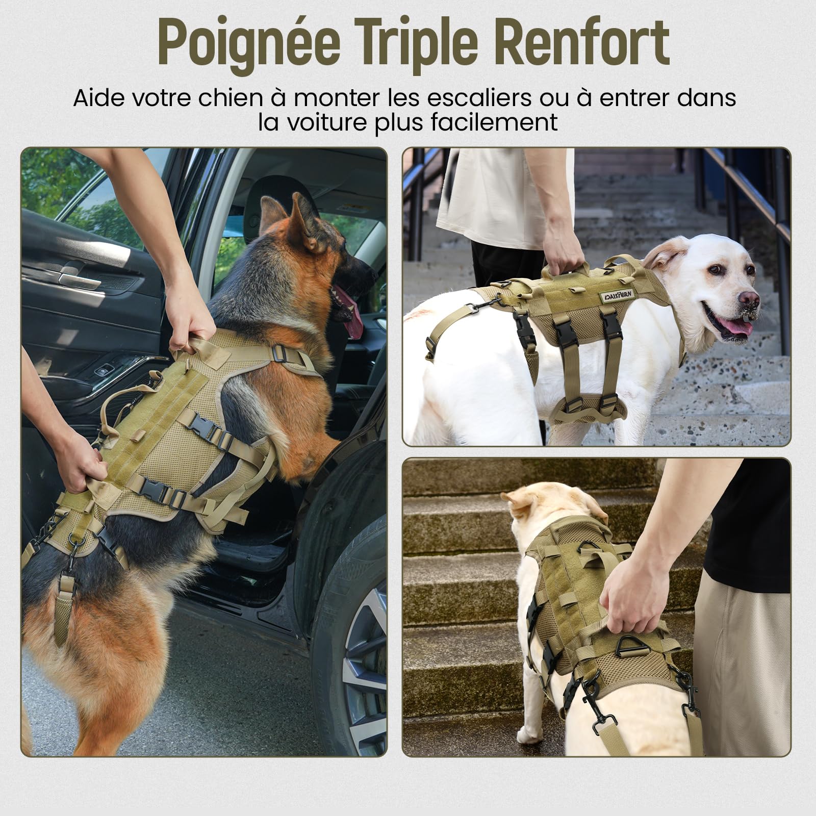 Harnais Anti-Traction Chien Taille L, Harnais Tactique pour Chien en Tissu en Maille Sandwich Respirant, Arnet Poignées et Leggings Arrière Amovibles Conçu pour Chasse Entraînement