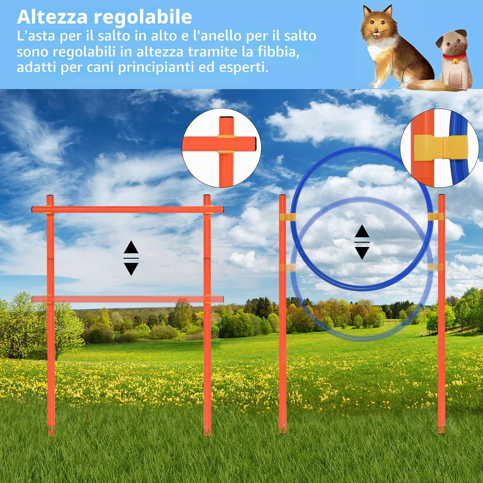 Froadp Attrezzatura per Agilità per Cani Combinazioni di Ostacoli con Pali da Slalom Anello Regolabile Asta del Salto in Alto, Tunnel per Cani e Gatti, Agility Set per la Formazione al Coordinamento