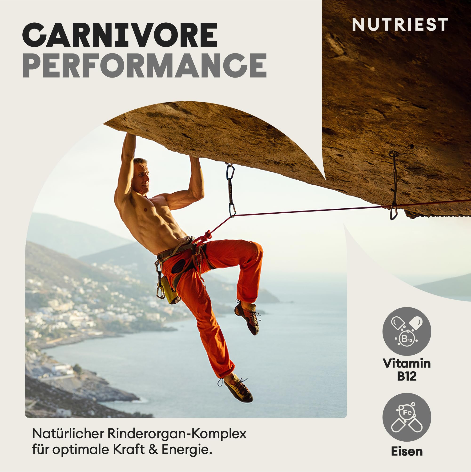 Cápsulas de hígado de res Nutriest (240 cápsulas) complejo de órganos de res 6 en 1 Carne de res orgánica europea alimentada con pasto 100% criada en pastura - Para energía, inmunológico y vitalidad