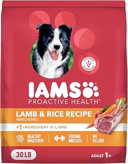 IAMS Proactive Health Adult Minichunks Lamb & Rice Dry Dog Food 30 lb Bag - Vet Recommended Digestion Support