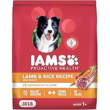 IAMS Proactive Health Minichunks Adult Dry Dog Food avec agneau et riz, 30 lb. Sac