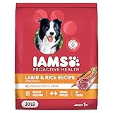 IAMS Proactive Health Minichunks Adult Dry Dog Food with Lamb & Rice, 30 lb. Bag Lamb & Rice 30 Pound (Pack of 1)