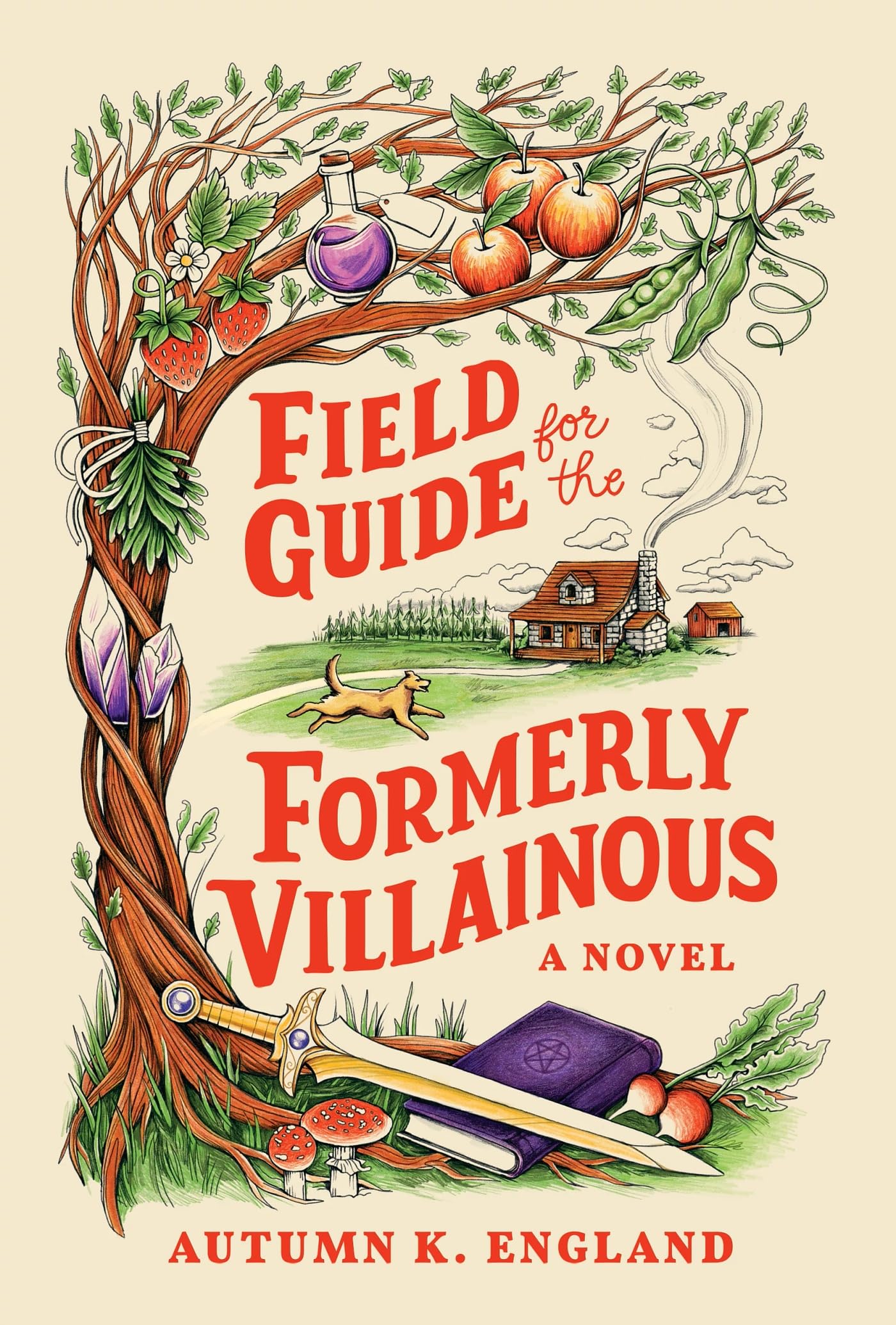 Field Guide for the Formerly Villainous