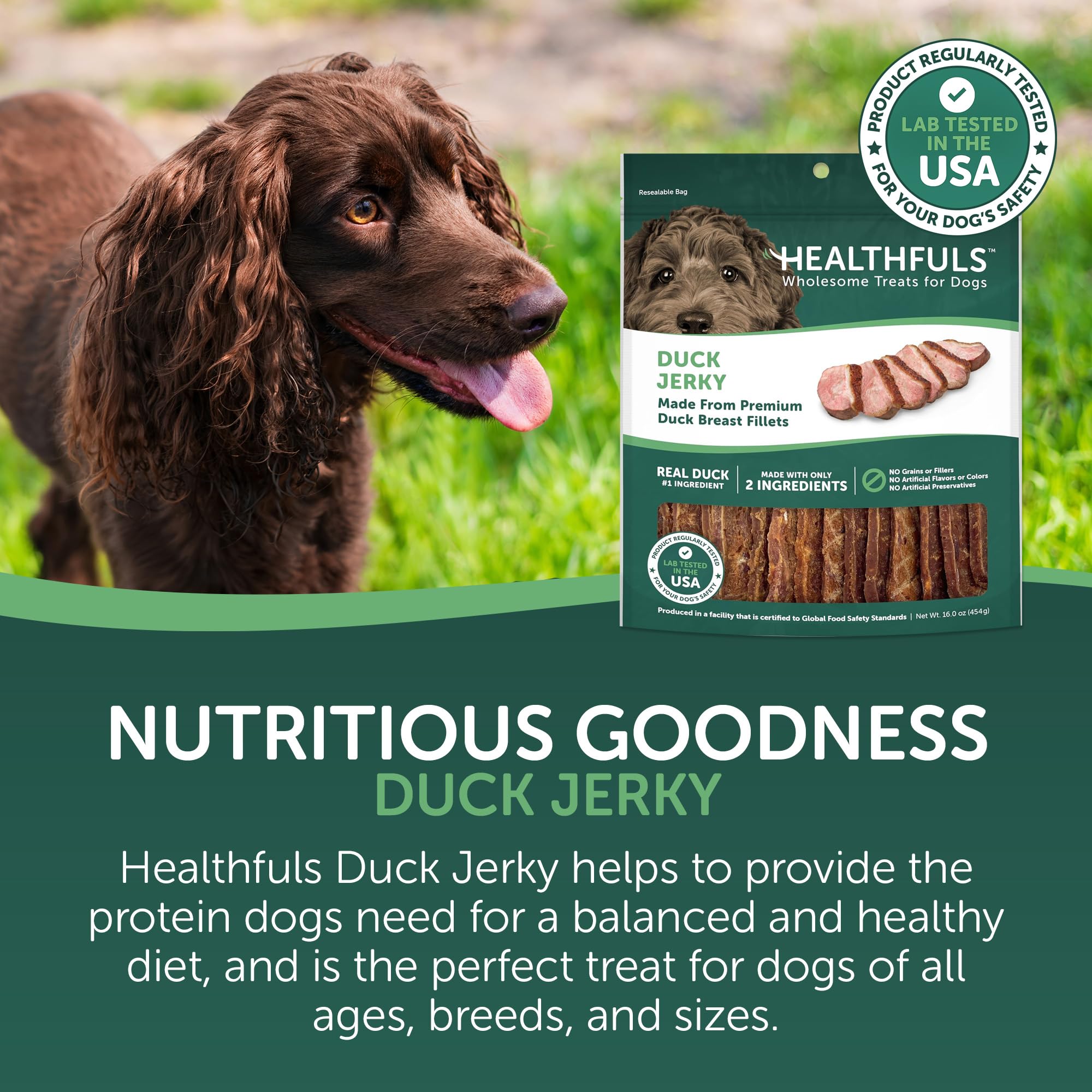 Westminster Pet Products 08222 Wag N Tails, LB, cecina de pato, golosinas para perros