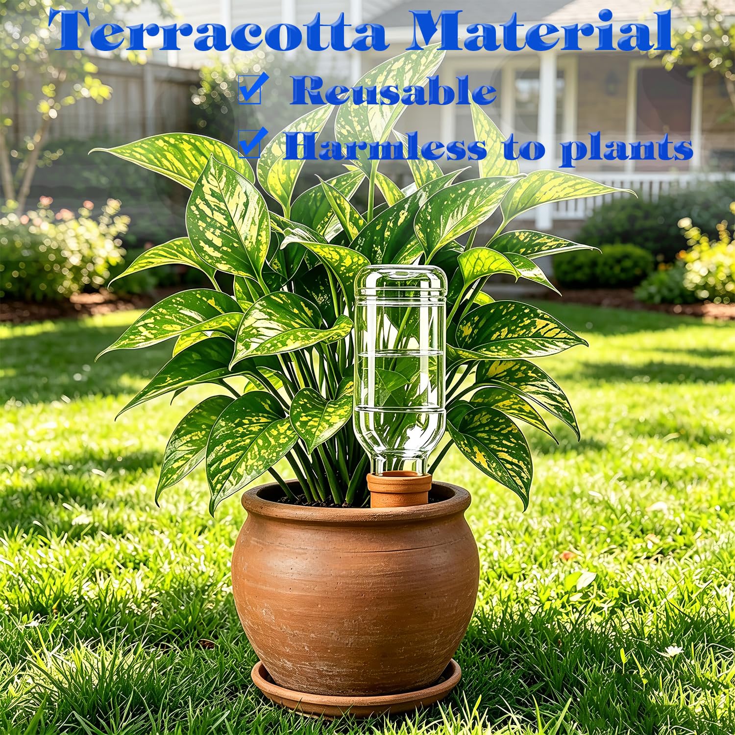 Dispositifs d'arrosage pour plantes en terre cuite - Pour intérieur et extérieur