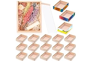 12pcs Unfinished Wood Craft Boxes