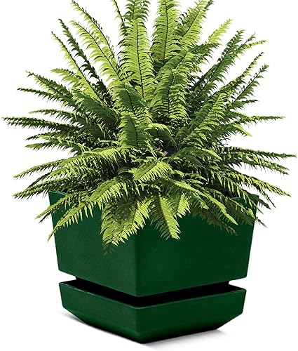 Cubiark Maceta cuadrada de 6 pulgadas de largo 18 (paquete de 3) acabado texturizado para exteriores e interiores, macetas con agujeros de drenaje,