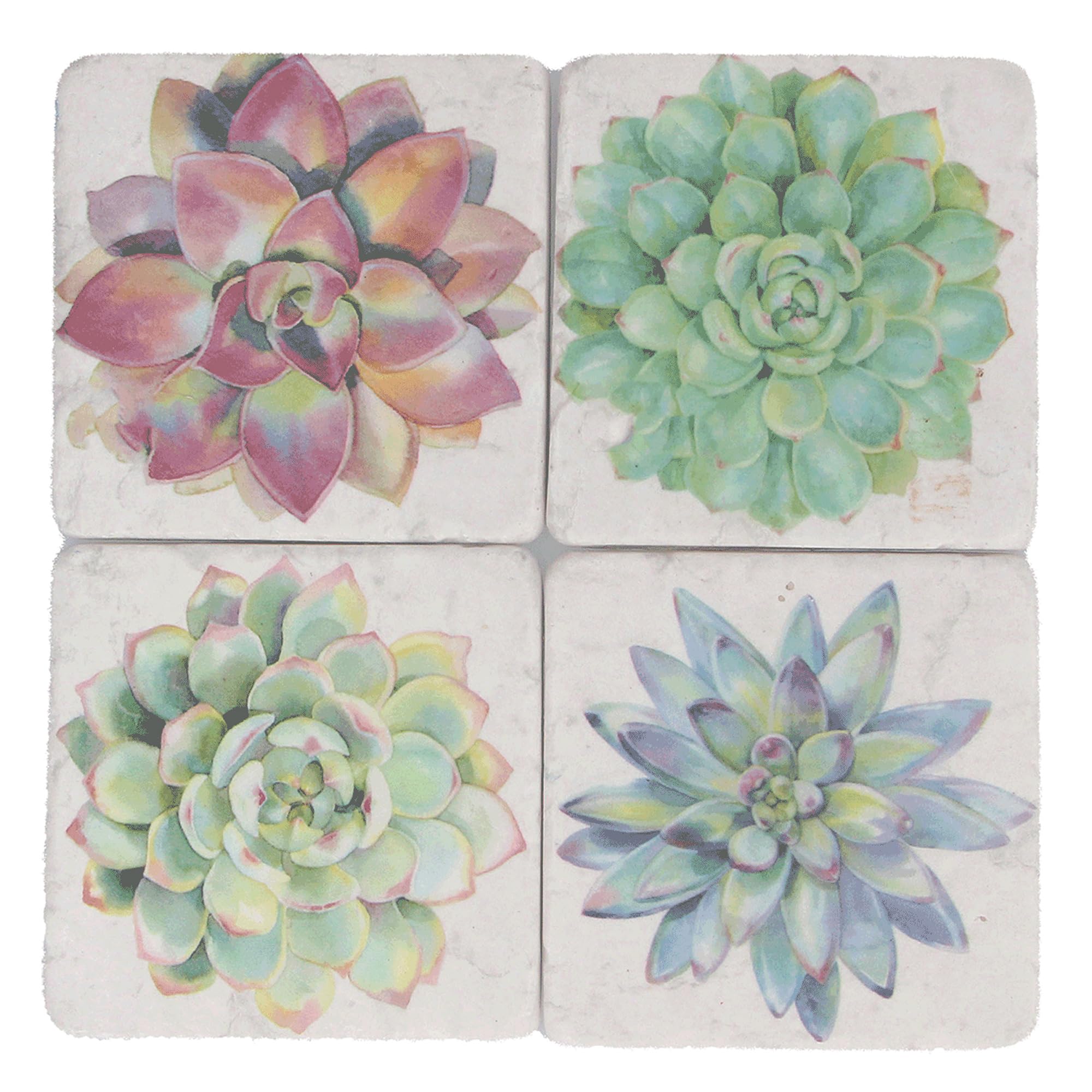 Gisela Graham Green Square Coasters With Succulent Plant Design, Resin, 10Cm, Pack Of 4