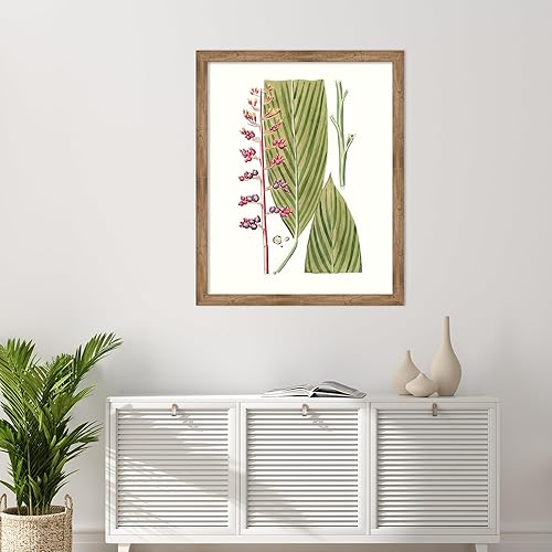 Miniatura 5 de Amanti Art Lienzo decorativo para pared enmarcado de 44 x 36 pulgadas, hojas de los trópicos III por Vision Studio, arte de pared de naturaleza,