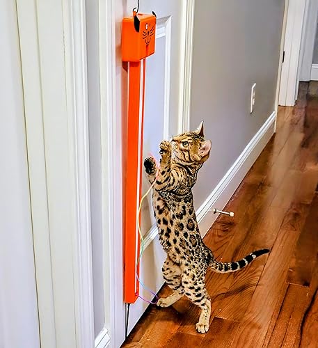 Miniatura 4 de Moody Pet, Juego para gatos Fling-Ama-String