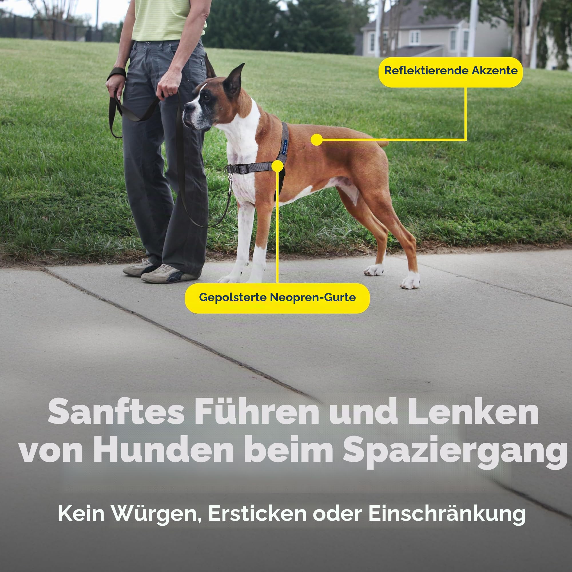 PetSafe Deluxe Easy Walk Hundegeschirr