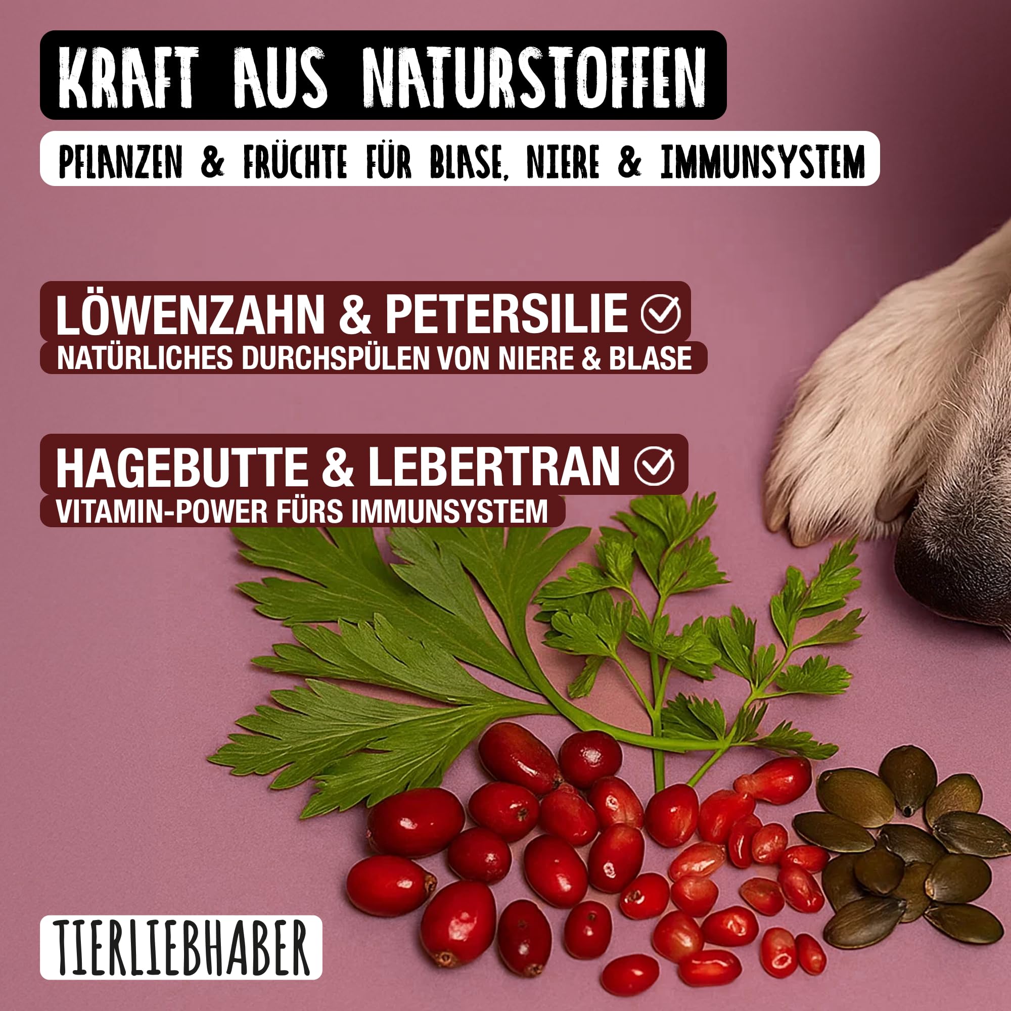 TIERLIEBHABER Nieren Leckerli Hund – Nierenfutter Hund als Hundeleckerli | Tierärztlich entwickelte Harn & Nieren Drops – Als Unterstützung der Blasen- und Nierenfunktion – 350g