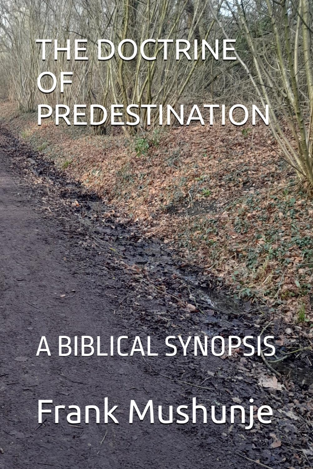 THE DOCTRINE OF PREDESTINATION: A BIBLICAL SYNOPSIS