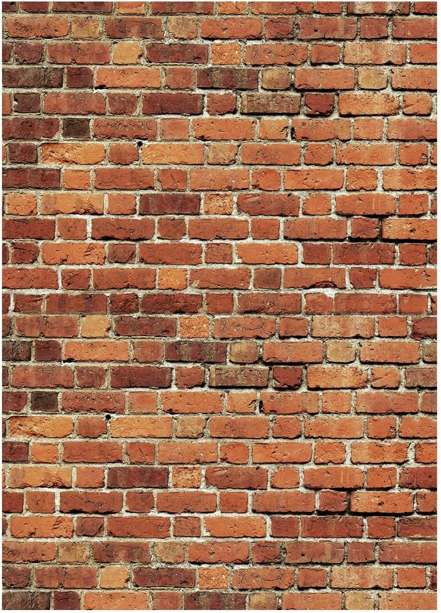 9X6Ft Red Brick Wall Backdrop Vintage Old Stone Brick Photography Backgroun - View #7