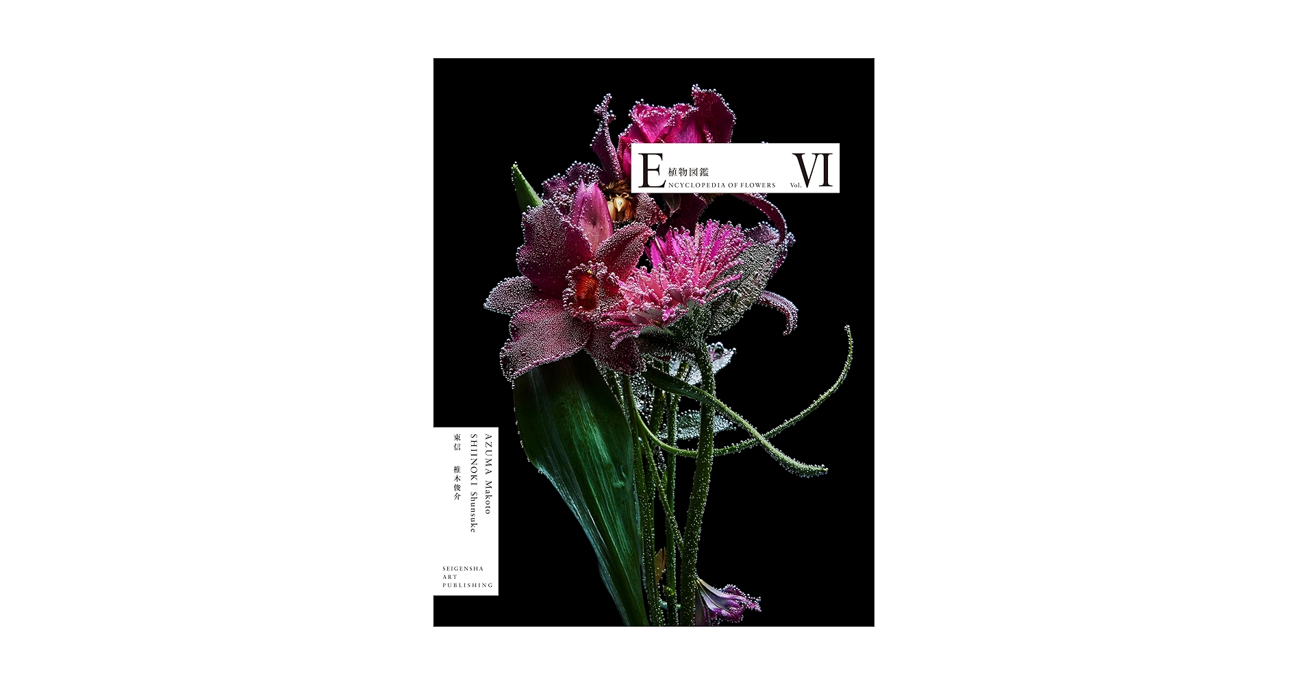 極美品　園芸植物大事典　全6巻 園芸植物大事典［コンパクト版］ | 書籍 | 小学館