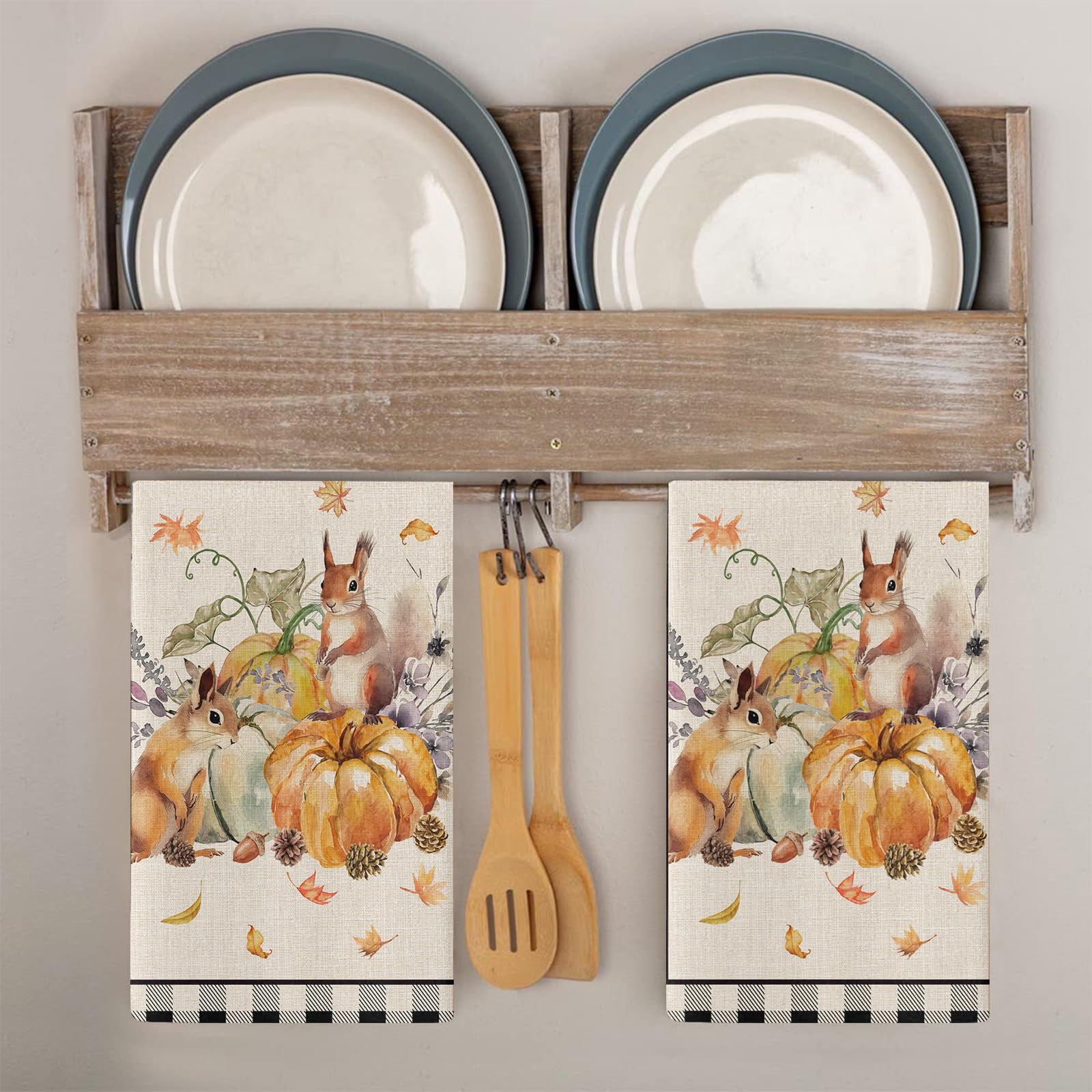 Trapos Cocina Ardilla Calabaza Verde Paños de Cocina Microfibra Paños Cocina Suaves Lavable Toallas Reutilizables Absorbentes Baño Pañuelo de Mano Trapos de Cocina 2 Piezas (44x74 cm)