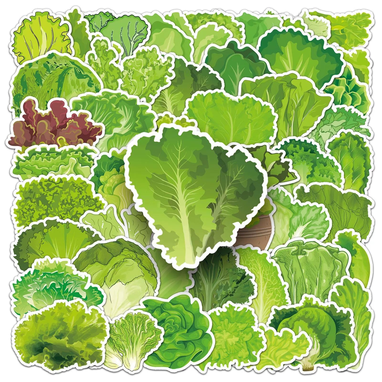50 Pcs Vegetable Stickers for Water Bottle Waterproof Sticker for Laptop Skateboard Phone Car Decals for Teens Adults for Party Favors Supplies Decor (Food Lettuce Stickers) โ image 1