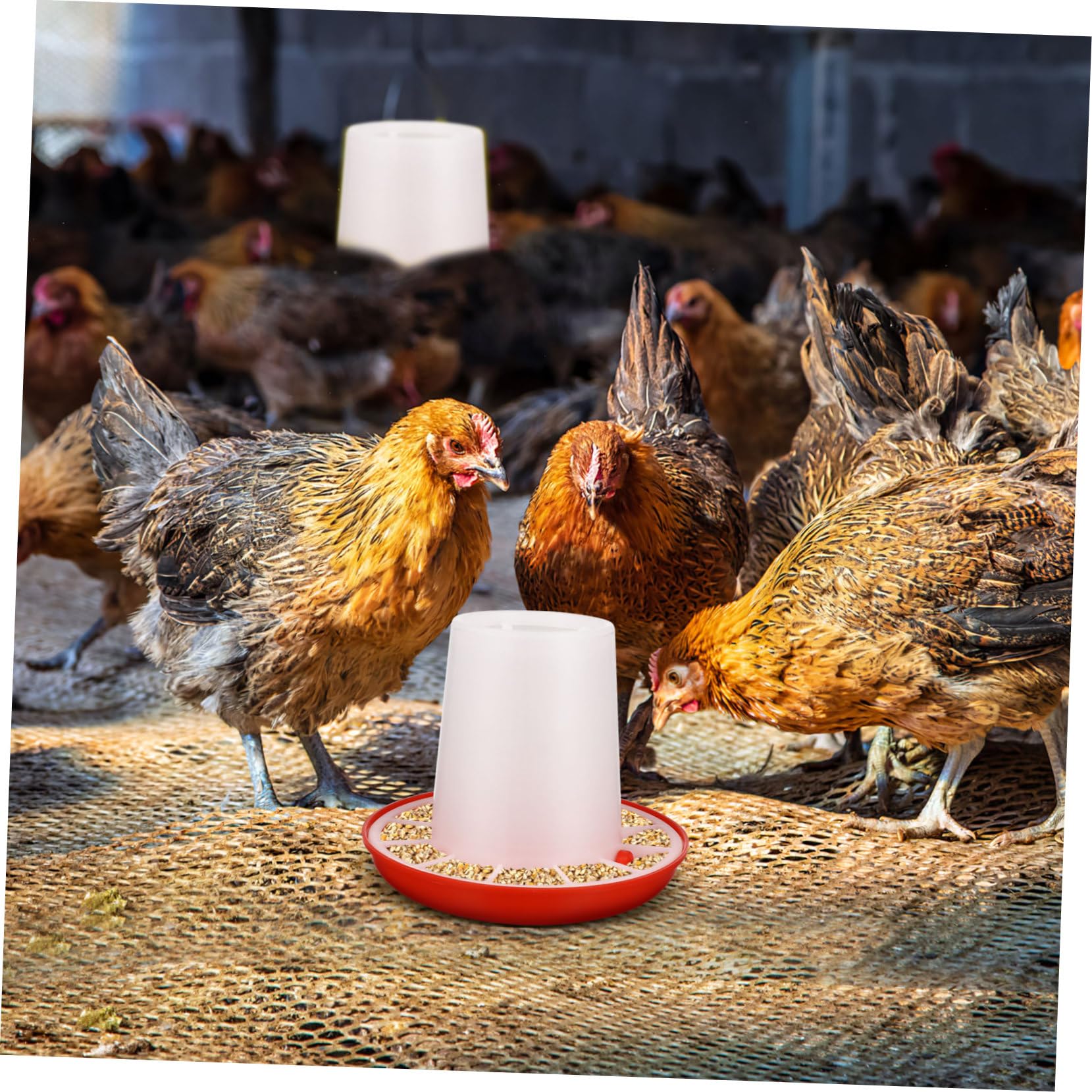 2piezas Comedero Para Gallinas y Plástico Resistente Unidades Para Jaulas De Aves Antisalpicaduras Práctico