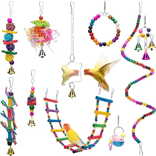 EBaokuup 10 Packs Bird Swing Chewing Toys- Parrot Hammock Bell Toys Parrot Cage Toy Bird Perch with Wood Beads Hanging for Small Parakeets, Cockatiels, Conures, Finches,Budgie,Parrots, Love Birds