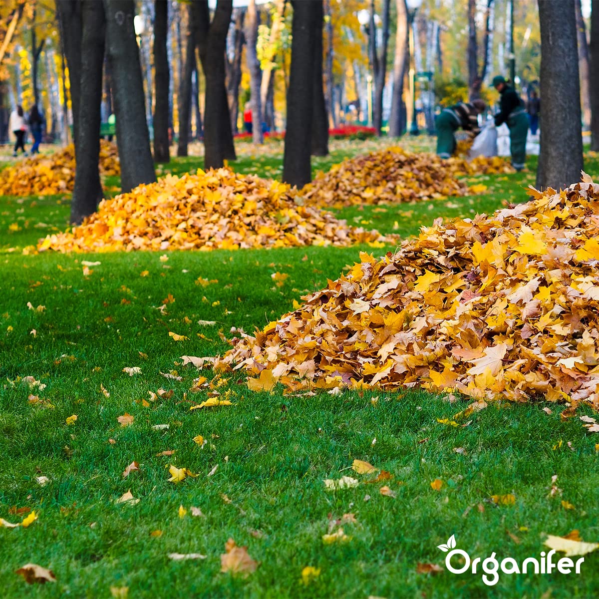 Fertilizante De Otoño Universal - 5kg = 100m2 | Rico En Potasio - Abono De Otoño - Abono Para Césped - Aumenta La Resistencia Del Césped A Las Heladas - Sequía - Organifer